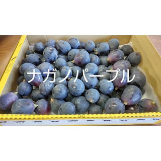 お買い得品❗️長野県産 ナガノパープル 粒(フルーツ)