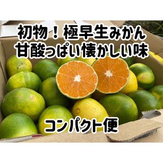 sabao様専用初物　秀品　極早生みかん　子どもたちもバクバク食べれます！(フルーツ)