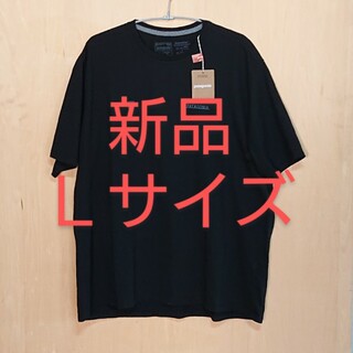 パタゴニア(patagonia)の新品 パタゴニア Tシャツ 黒 Ｌサイズ(Tシャツ/カットソー(七分/長袖))