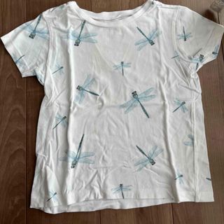 インセクトコレクション(INSECT　COLLECTION)のINSECT COLLECTION Tシャツ 2枚(Tシャツ/カットソー)