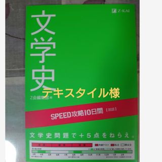 テキスタイル様 ＳＰＥＥＤ攻略１０日間国語文学史(語学/参考書)