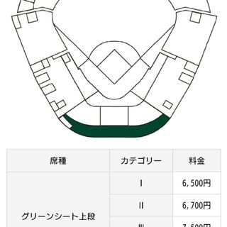 9/20 甲子園阪神巨人戦 グリーン上段セレクトチケット(野球)