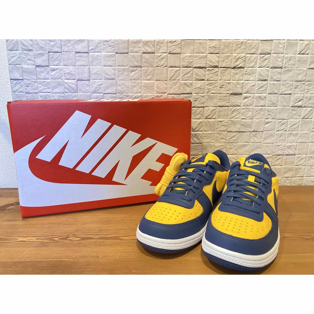 NIKEターミネーターLOW