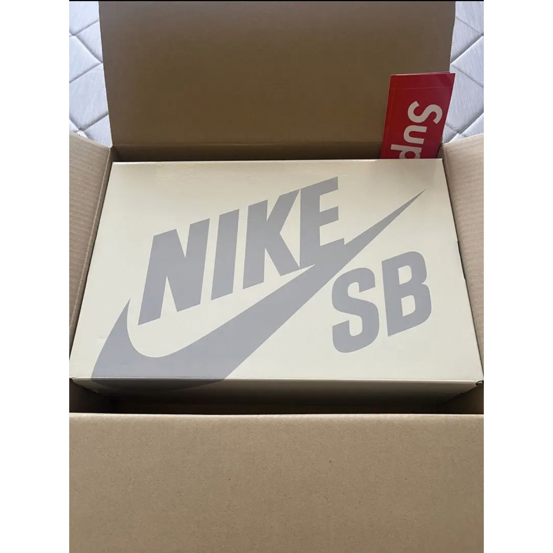 Supreme Nike SB Dunk High Rammellzee 28㎝