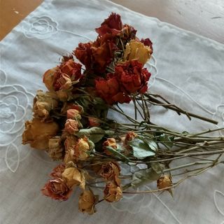 訳ありお買い得価格❗️薔薇ドライフラワー ハンドメイド花材の通販 by