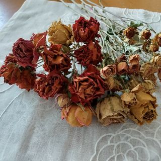 訳ありお買い得価格❗️薔薇ドライフラワー ハンドメイド花材の通販 by
