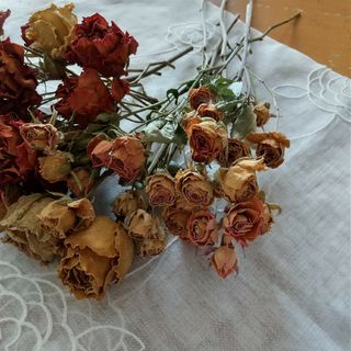 訳ありお買い得価格❗️薔薇ドライフラワー ハンドメイド花材の通販 by