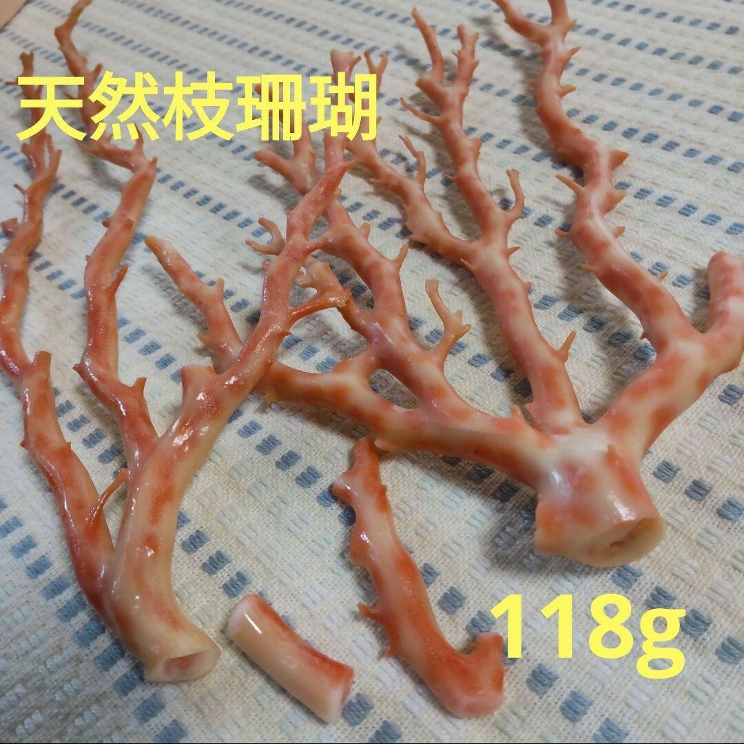 天然 枝珊瑚 サンゴ 原木 原石 - 各種パーツ