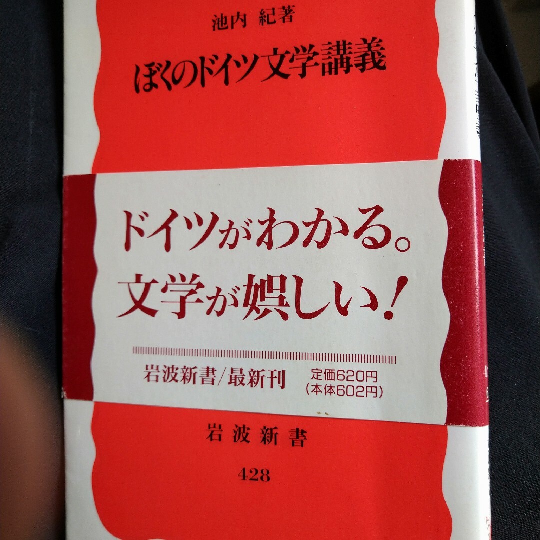 ぼくのドイツ文学講義