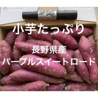長野県産　パープルスイートロード　1.5キロ(野菜)