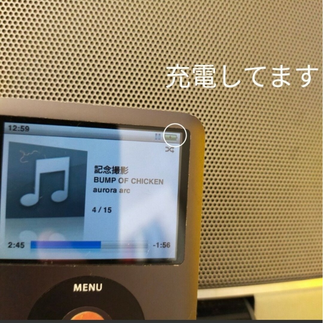 BOSE(ボーズ)のBOSE SOUND Dock　iPod　iPhone　スピーカー　端子　30 スマホ/家電/カメラのオーディオ機器(スピーカー)の商品写真