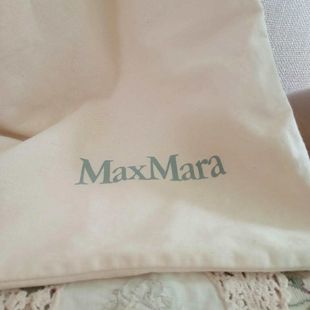 Max Mara(マックスマーラ)のMaxMara（マックスマーラ）保存袋 レディースのバッグ(その他)の商品写真