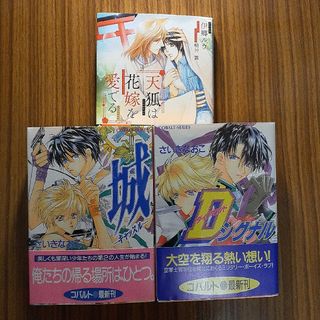 「天狐は花嫁を愛でる」ほかBL小説３冊セット(ボーイズラブ(BL))