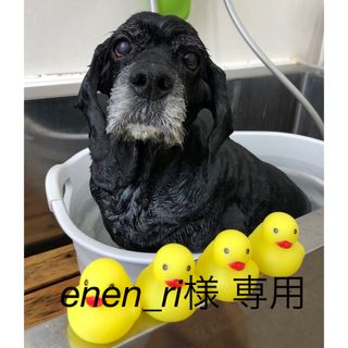 enen_ri様　専用(ポーチ)