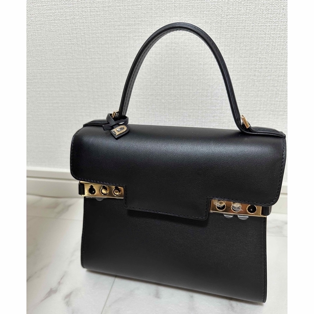 205cm底辺【最終値下げ】　DELVAUX ハンドバッグ Tempete タンペート PM