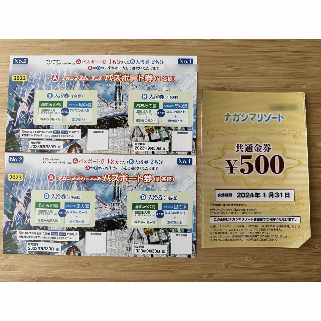 長島スパーランド　パスポート２名分（平成31年４月迄有効の共通金券1500円付）