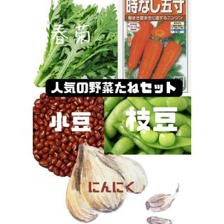 数量限定　人気の野菜のたねセット　にんにく入り(プランター)