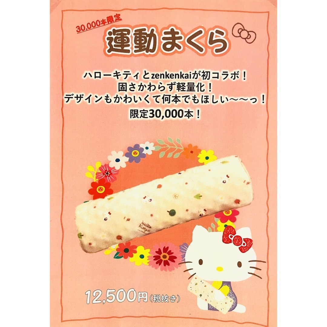 男女兼用 あおたけ運動枕 キティちゃんデザイン - renatafono.com