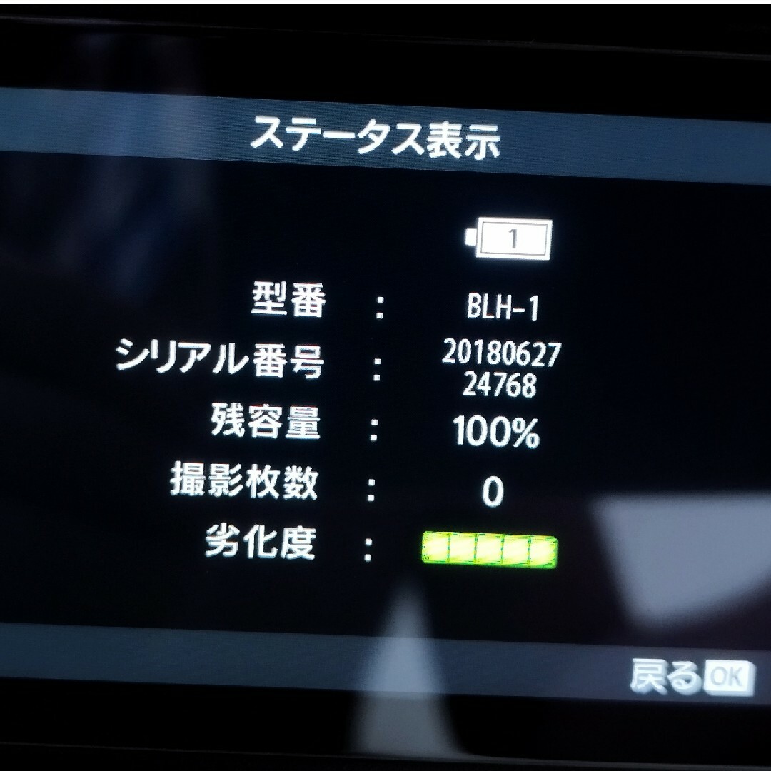 オリンパスのカメラ用バッテリーBLH-1と、充電器BCH-1のセット 6