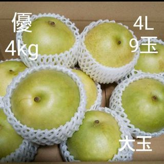 ニ十世紀梨 家庭用 4kg 4L 鳥取県産 9玉 優品 大玉(フルーツ)