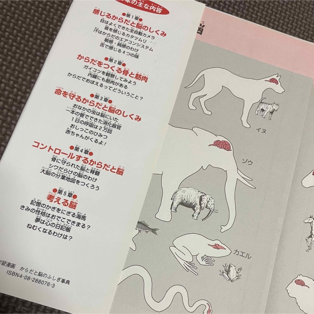 集英社(シュウエイシャ)のからだと脳のふしぎ事典 エンタメ/ホビーの本(絵本/児童書)の商品写真