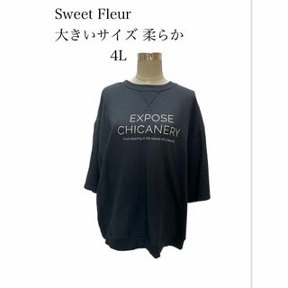 匿名配送　レディース4L 濃い紺系、黒です￼。綺麗な状態です(Tシャツ(長袖/七分))