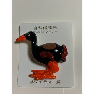 ヤンバルクイナ　ブローチ　バッチ(その他)