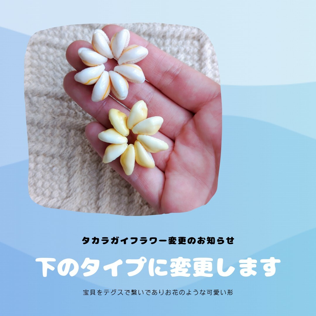 貝殻　シェル　天然素材　ハンドメイド　工作　夏　ワークショップ　海　自由研究 ハンドメイドの素材/材料(各種パーツ)の商品写真