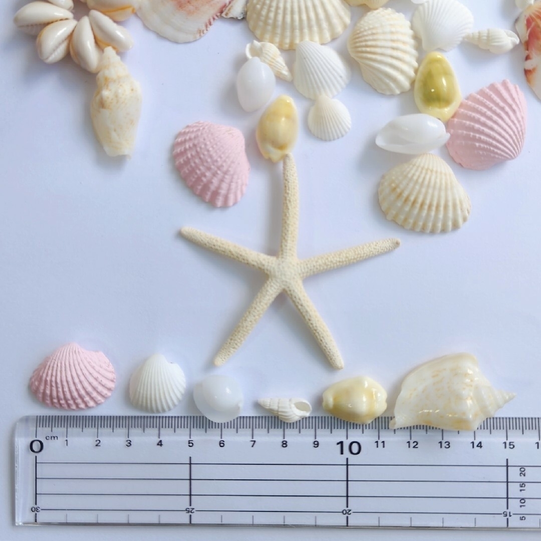 シェルパーツ　ピンク　貝殻セット　ハンドメイド　海　貝がら　素材　パステルカラー ハンドメイドのウェディング(ウェルカムボード)の商品写真