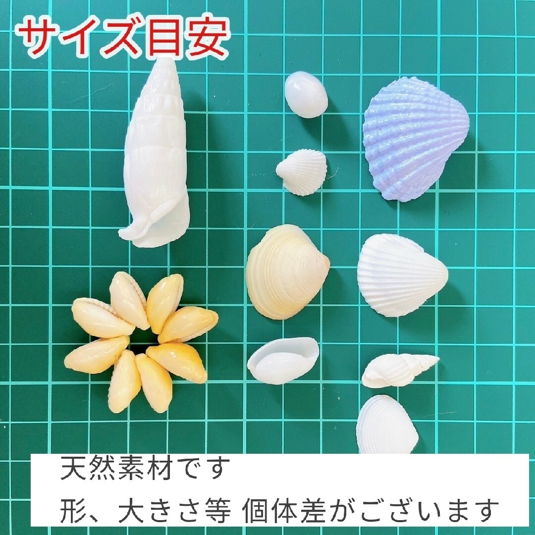 シェルパーツ　ピンク　貝殻セット　ハンドメイド　海　貝がら　素材　パステルカラー ハンドメイドのウェディング(ウェルカムボード)の商品写真