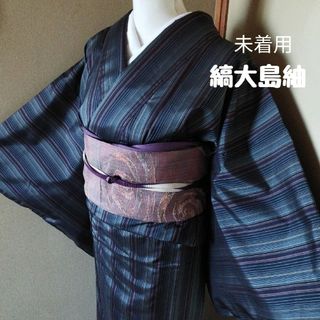 着物(レディース)(ボーダー)の通販 74点(レディース) | お得な新品