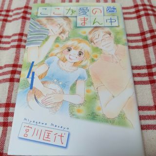 ハクセンシャ(白泉社)のここが愛のまん中 ４(女性漫画)