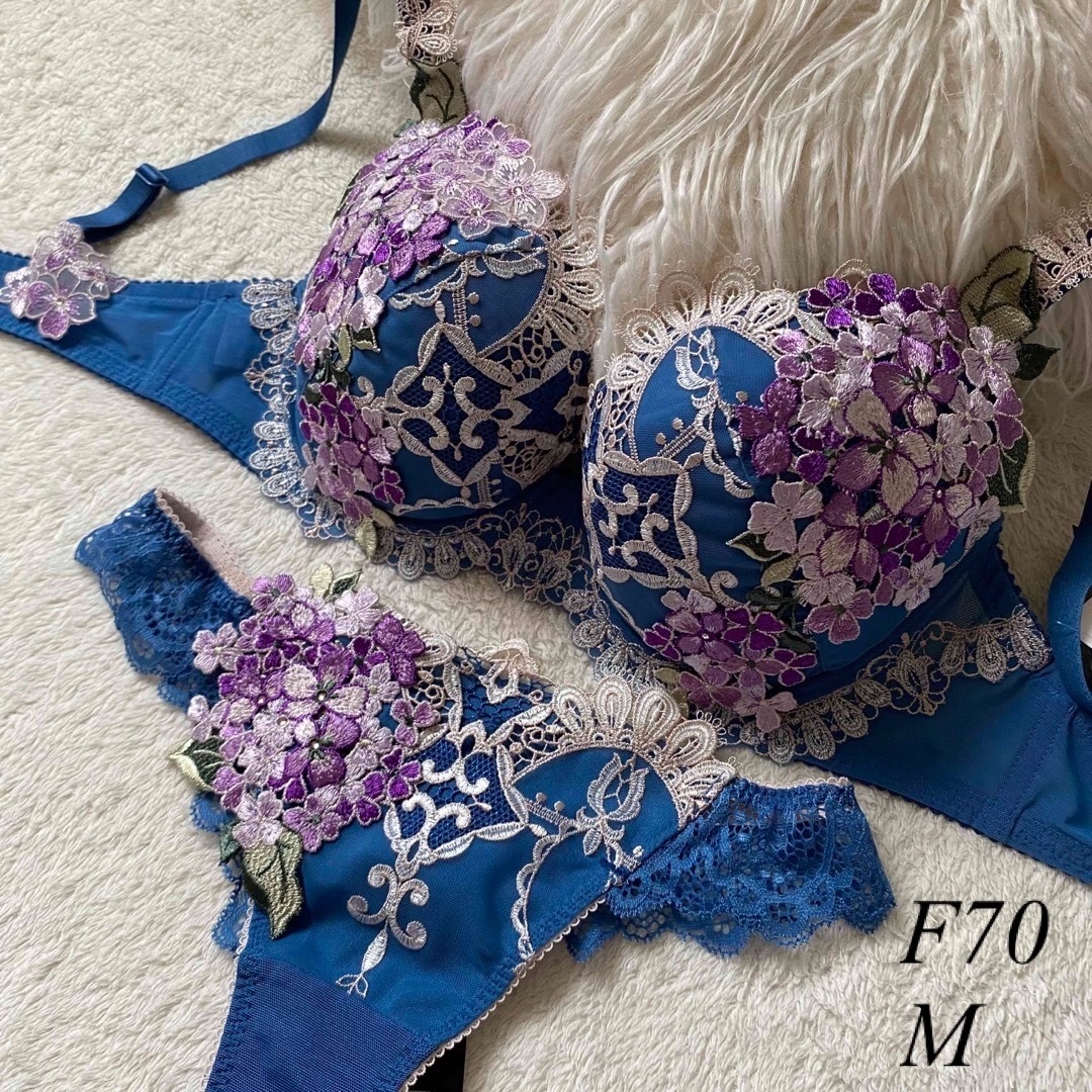 Wacoal - 【新品未使用】サルート店舗限定 49G P-up F70/Mの通販 by