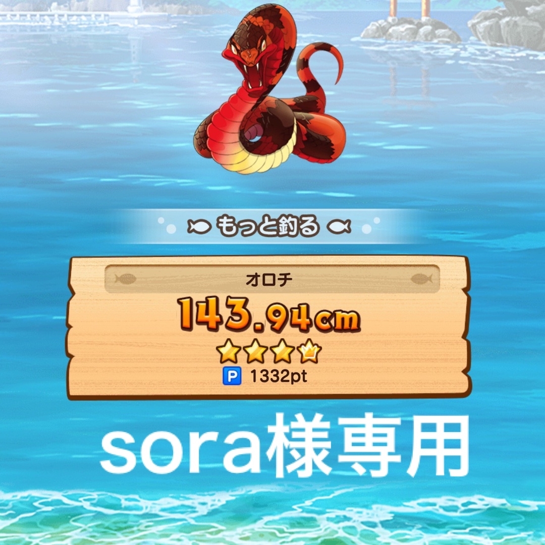 soraさま専用