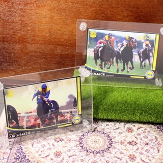 バンダイ(BANDAI)のエアシャカール トレカ2枚セット オーナーズホース 競馬 カード(キャラクターグッズ)