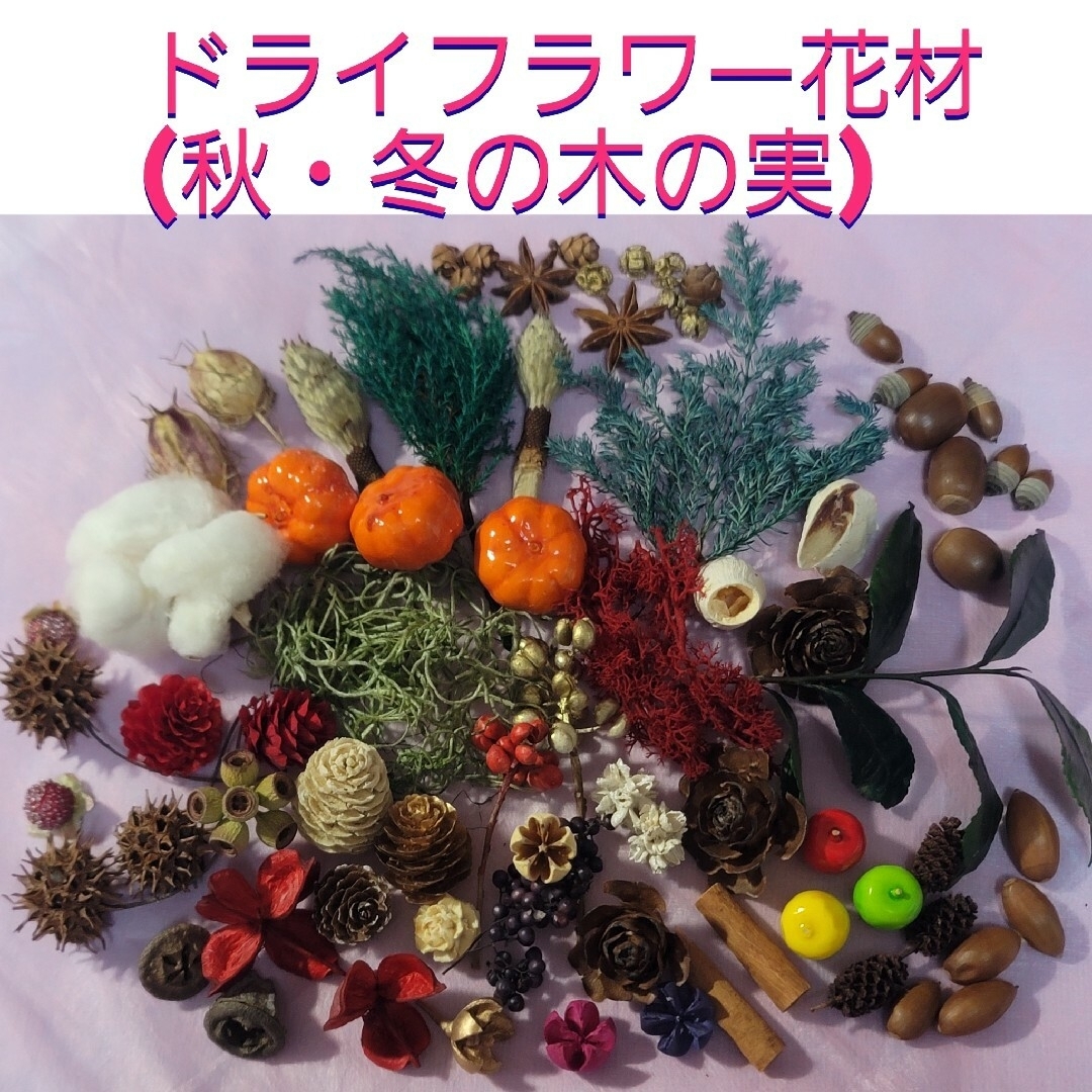 なおとものはは様専用】ドライフラワー花材(秋・冬の木の実)の通販 by