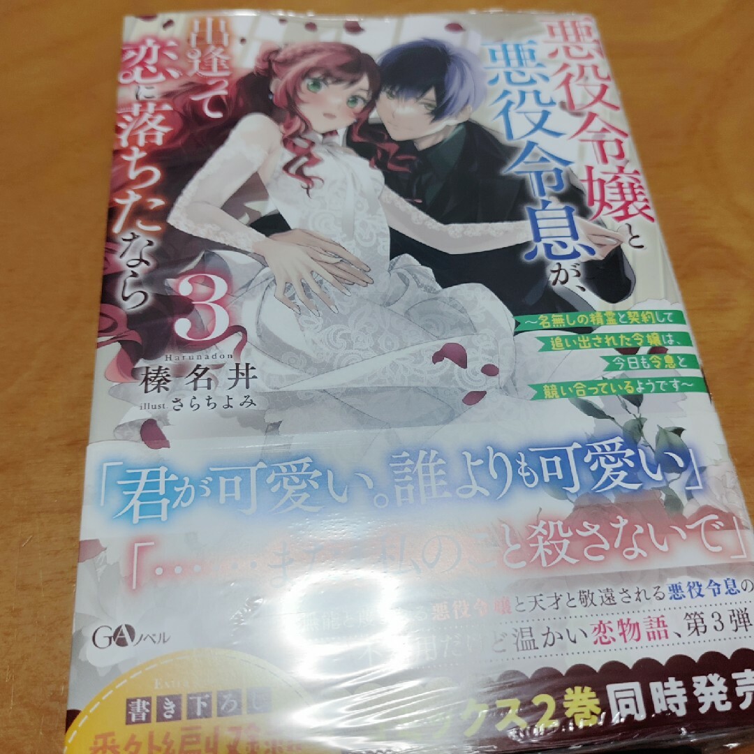 「悪役令嬢と悪役令息が、出逢って恋に落ちたなら3 ~名無しの精霊と契約して追い出 エンタメ/ホビーの本(文学/小説)の商品写真