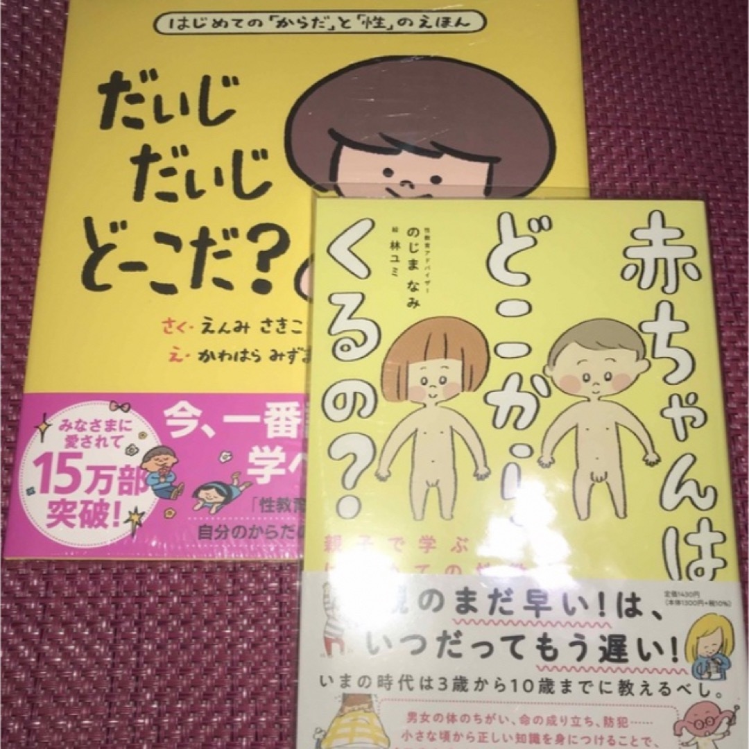 はじめてのからだと性の絵本『だいじだいじどーこだ？』『赤ちゃんはどこからくるの』 エンタメ/ホビーの本(住まい/暮らし/子育て)の商品写真