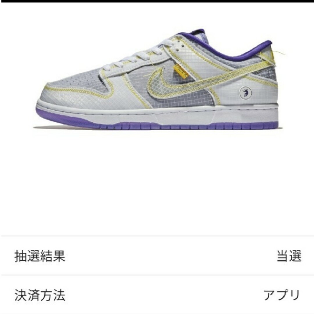28.5c UNION Nike Dunk Low  Court Purple