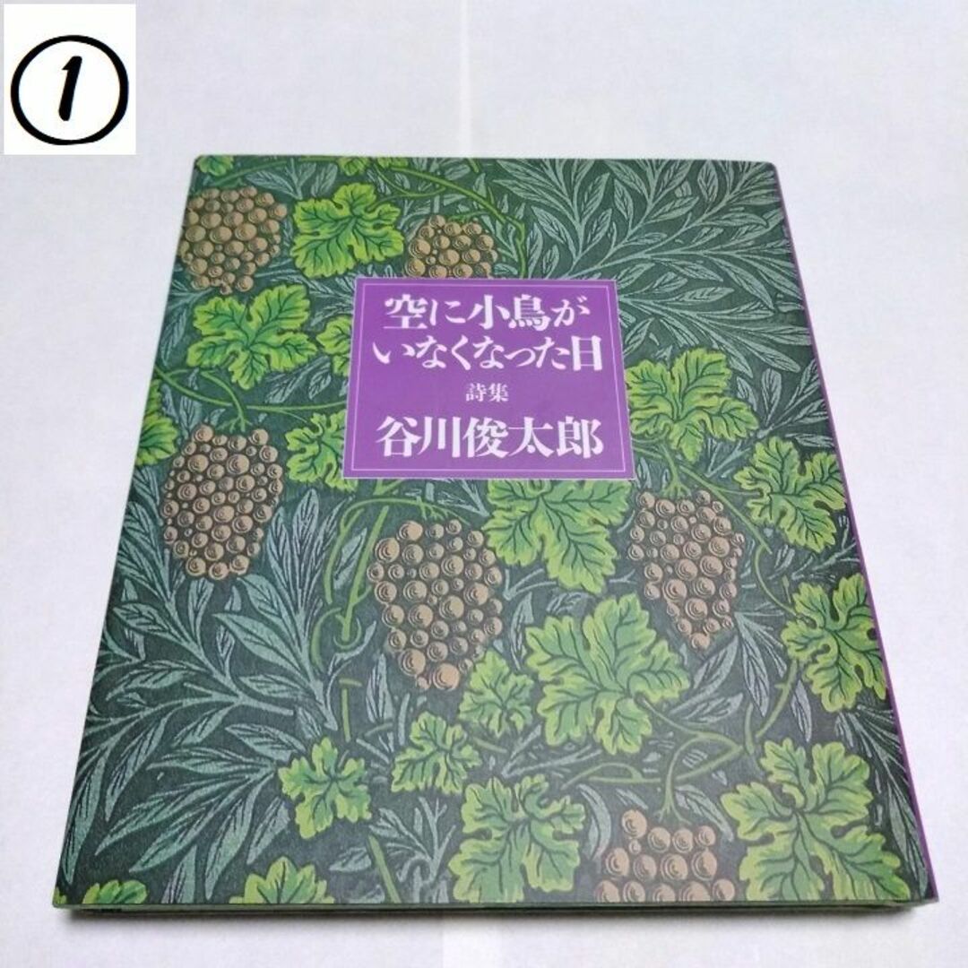 サンリオ(サンリオ)の【使用済】空に小鳥がいなくなった日　本 エンタメ/ホビーの本(文学/小説)の商品写真