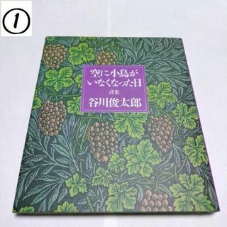 サンリオ(サンリオ)の【使用済】空に小鳥がいなくなった日　本(文学/小説)