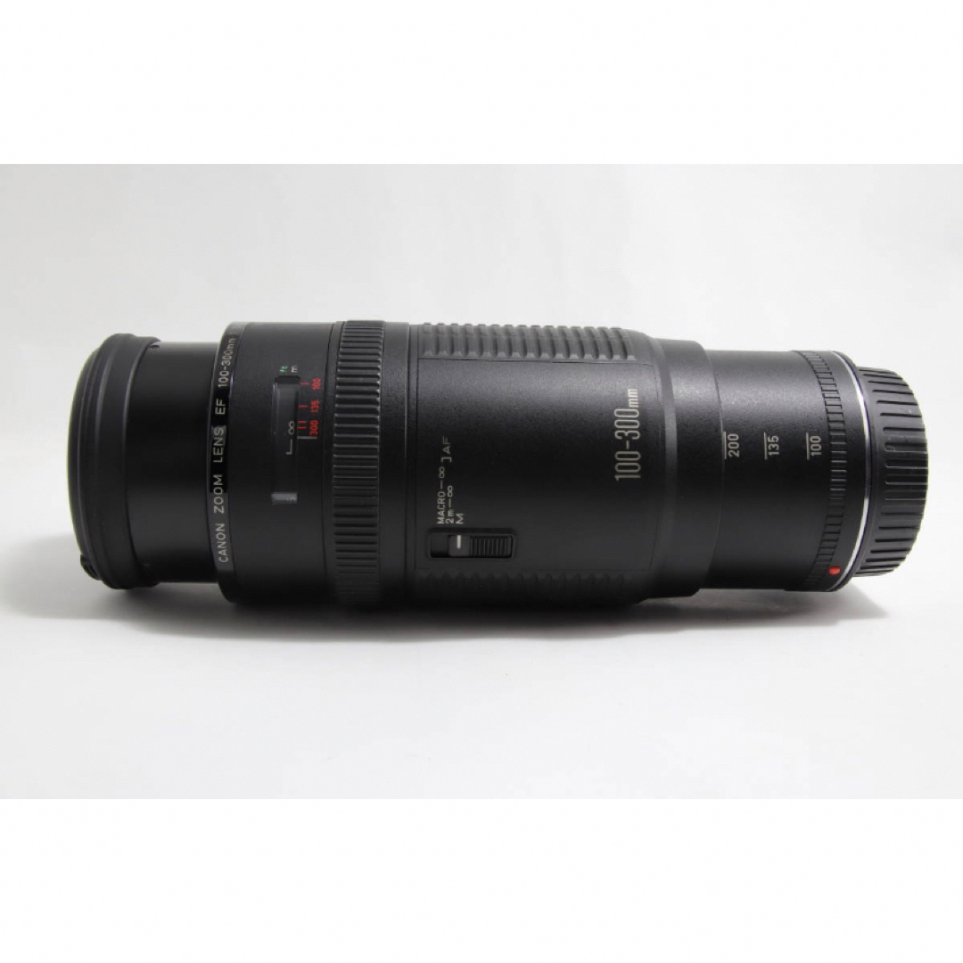 キヤノン望遠レンズ Canon EF100-300 超望遠レンズセット-