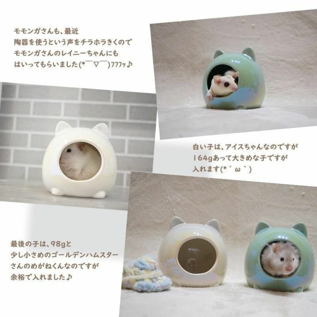 S【小/pink】 ハムスター陶器猫耳　S5875 その他のペット用品(小動物)の商品写真