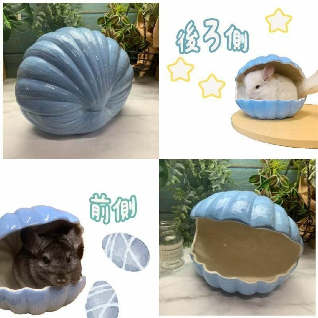 ブルー 貝殻 おうち　陶器 チラ壷 かわいい 暑さ対策 小動物 S5921