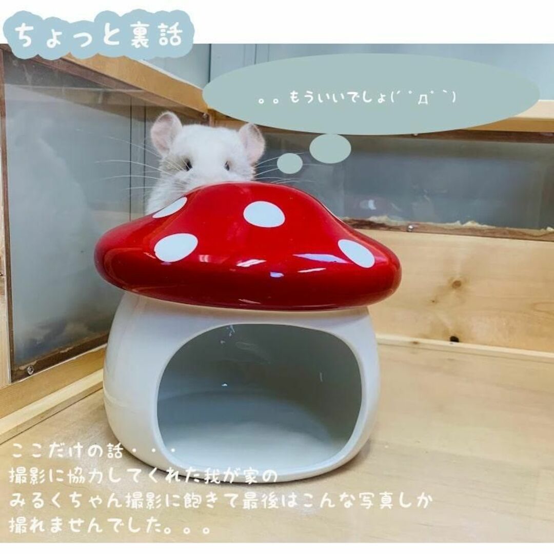 きのこ ハムスター おうち チンチラ 陶器 小動物 S5161