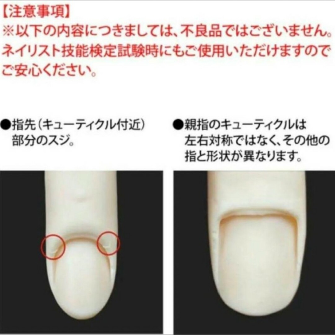 【新品】JNEC ネイリスト技能検定 認定モデルハンドセット STモデルハンド