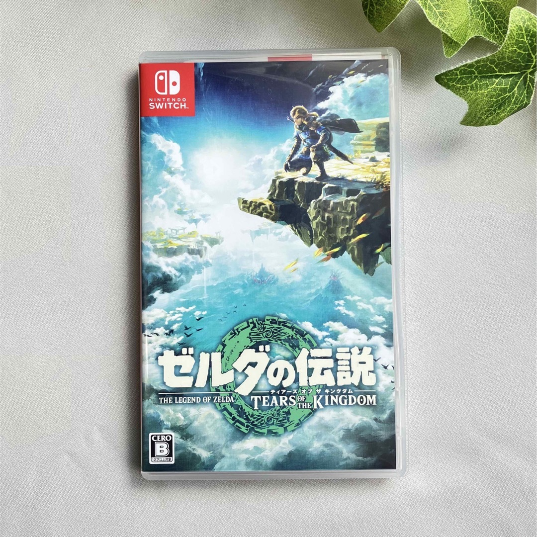 ゼルダの伝説　ティアーズ オブ ザ キングダム Switch