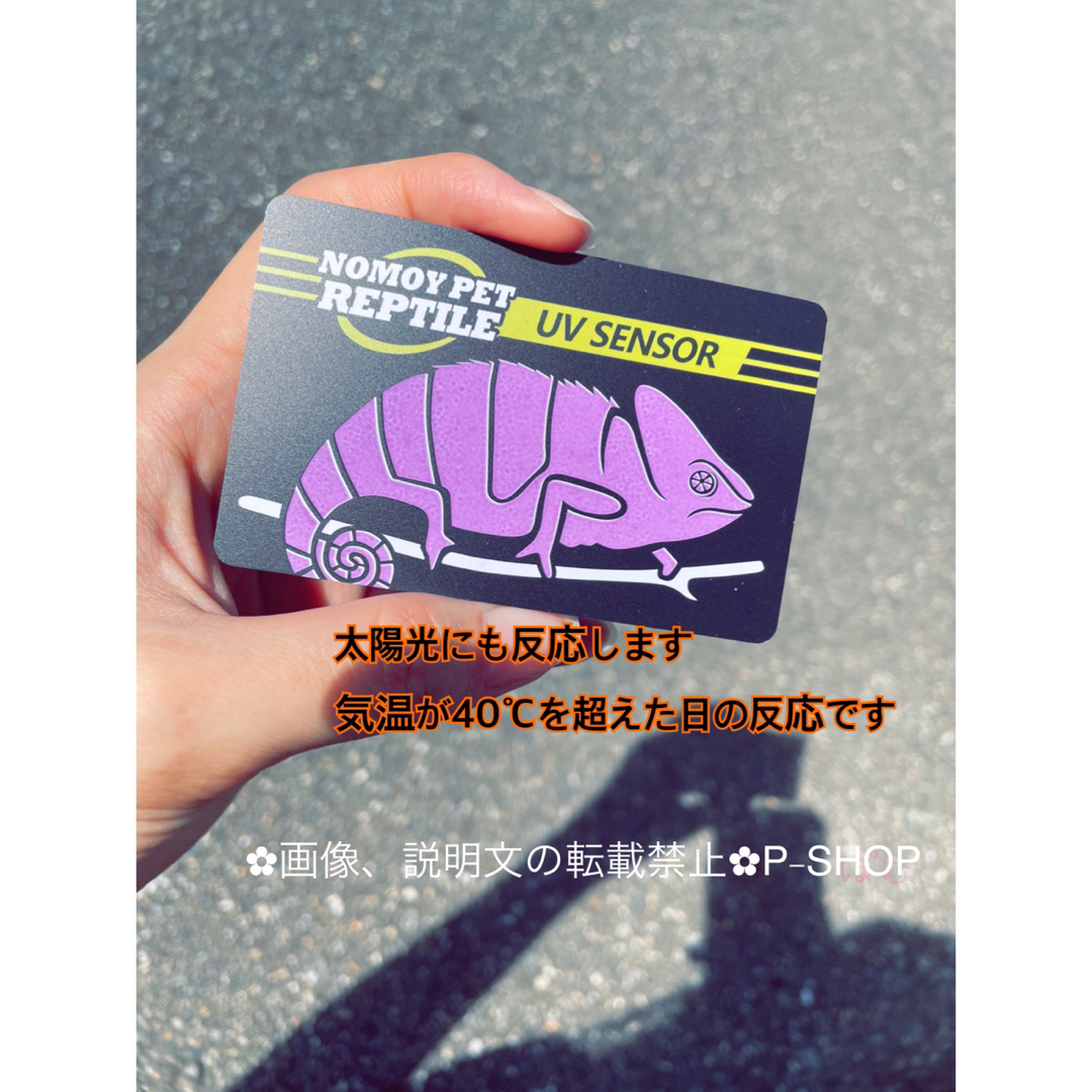 安全 UVBチェッカー 紫外線テスター 爬虫類ランプ 太陽光