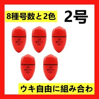 5個2.0号 赤色電気ウキセット(釣り糸/ライン)