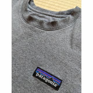 パタゴニア(patagonia)のPatagonia Men's Sweatshirt (STY39543)(スウェット)